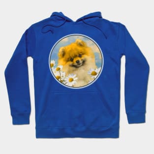 Pomeranian in Daisies (Orange) Hoodie